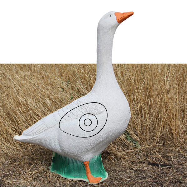 pato-animal-tiro-con-arco