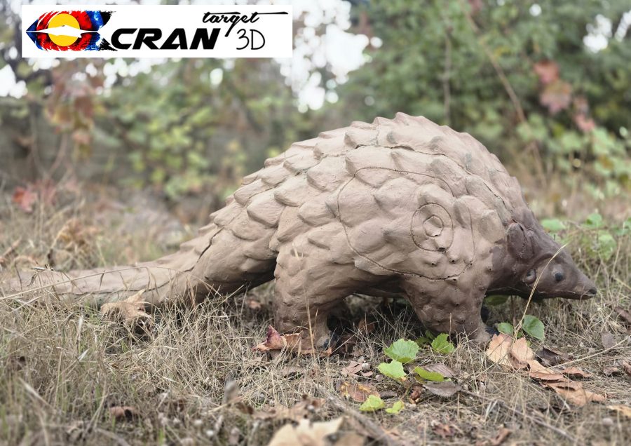 Pangolín