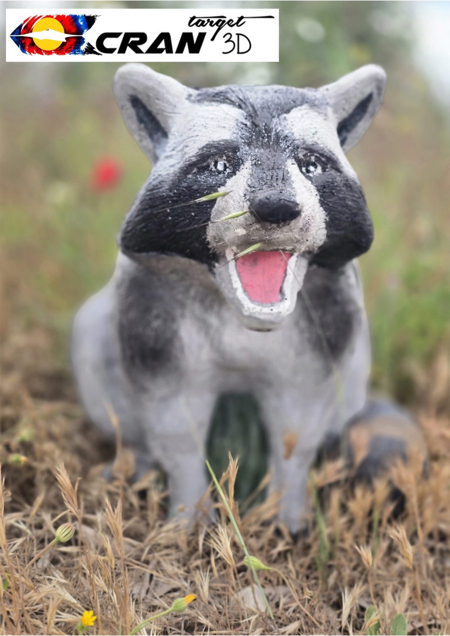 Mapache